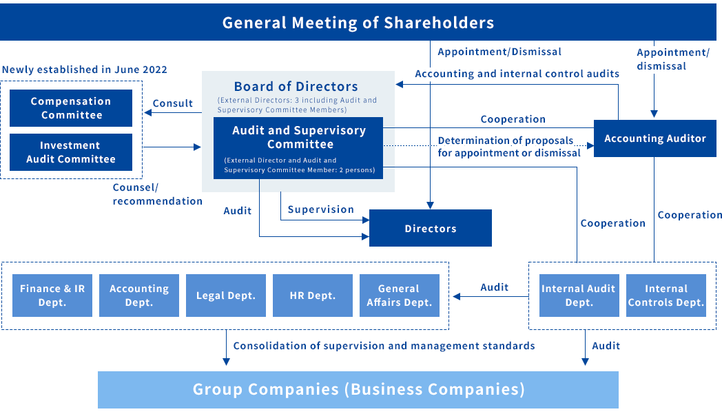 Corporate Governace Structure